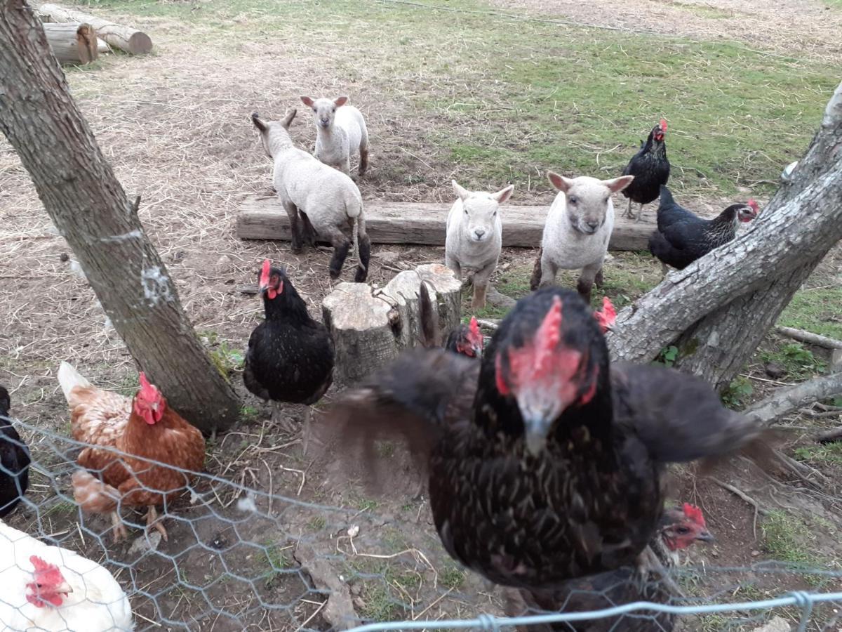 Ashton KeynesThe Byre North End Farm住宿加早餐旅馆 外观 照片